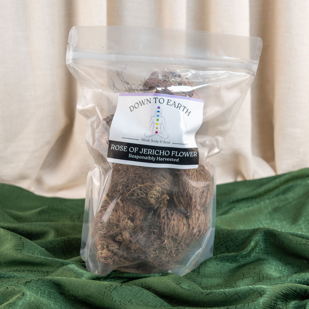 Rose of Jericho Flower