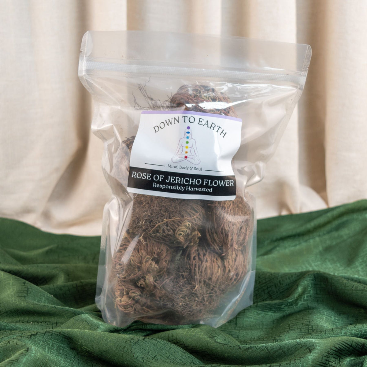 Rose of Jericho Flower